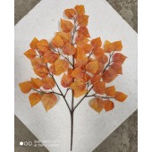 Ветка березы осень - оранжевый