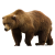Медведь (25)