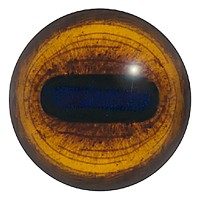 190OV E07