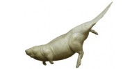 Бобр ББМ-2