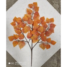 Ветка березы осень - оранжевый