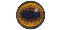 Стенбок Е07