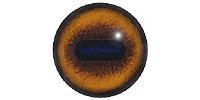 Хардебист Е25