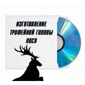 Изготовление трофейной головы лося