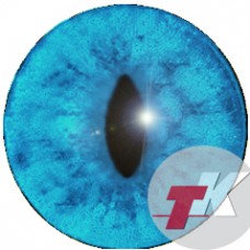 Лиса белая  глаза ТК-1