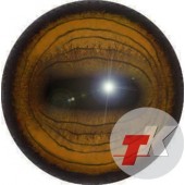 Козерог глаза ТК-1