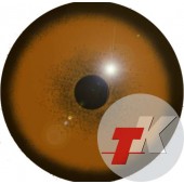Гепард глаза ТК-1