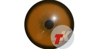 Гепард глаза ТК-1
