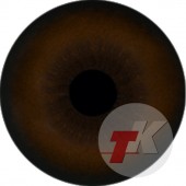 Гиена глаза ТК-1.24