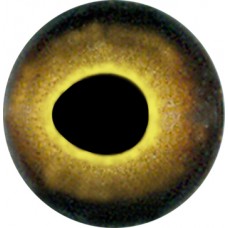 Окунь глаза ТК-2